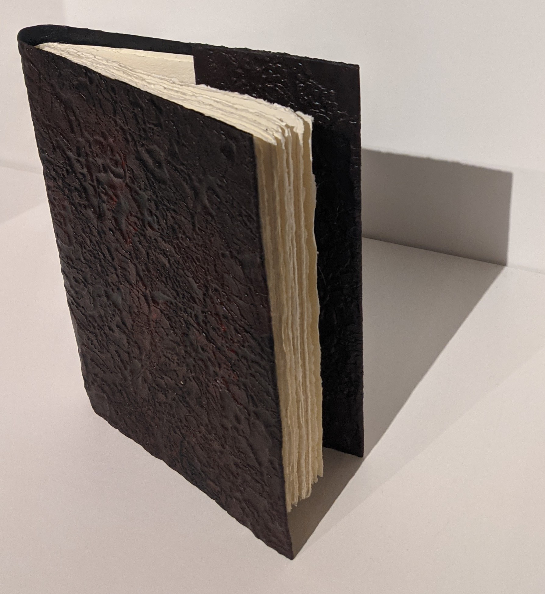 Quaderno - Notebook - Guest Book 