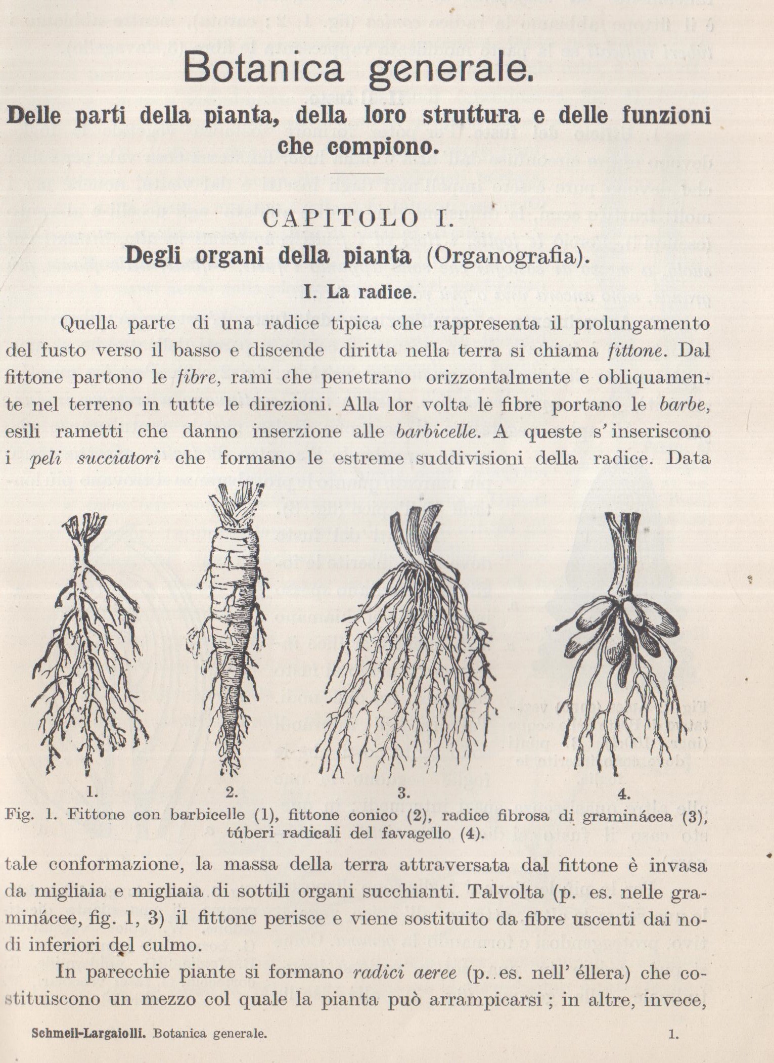 Trattato di Botanica “Botanica generale. Delle parti della pianta, della loro struttura e delle funzioni che compiono”.