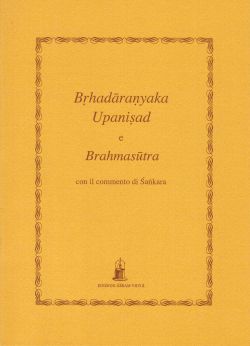 Brhadaranyaka Upanisad e Brahmasutra, Sankara